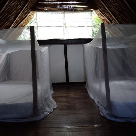 Bonita Hostel パロミノ エクステリア 写真