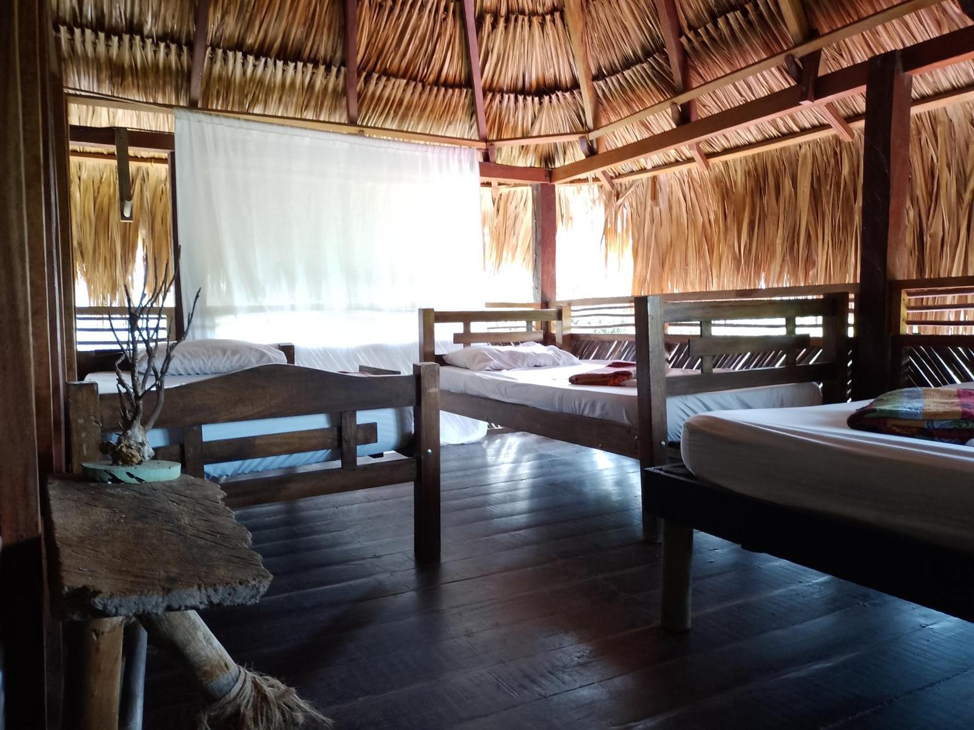 Bonita Hostel パロミノ エクステリア 写真